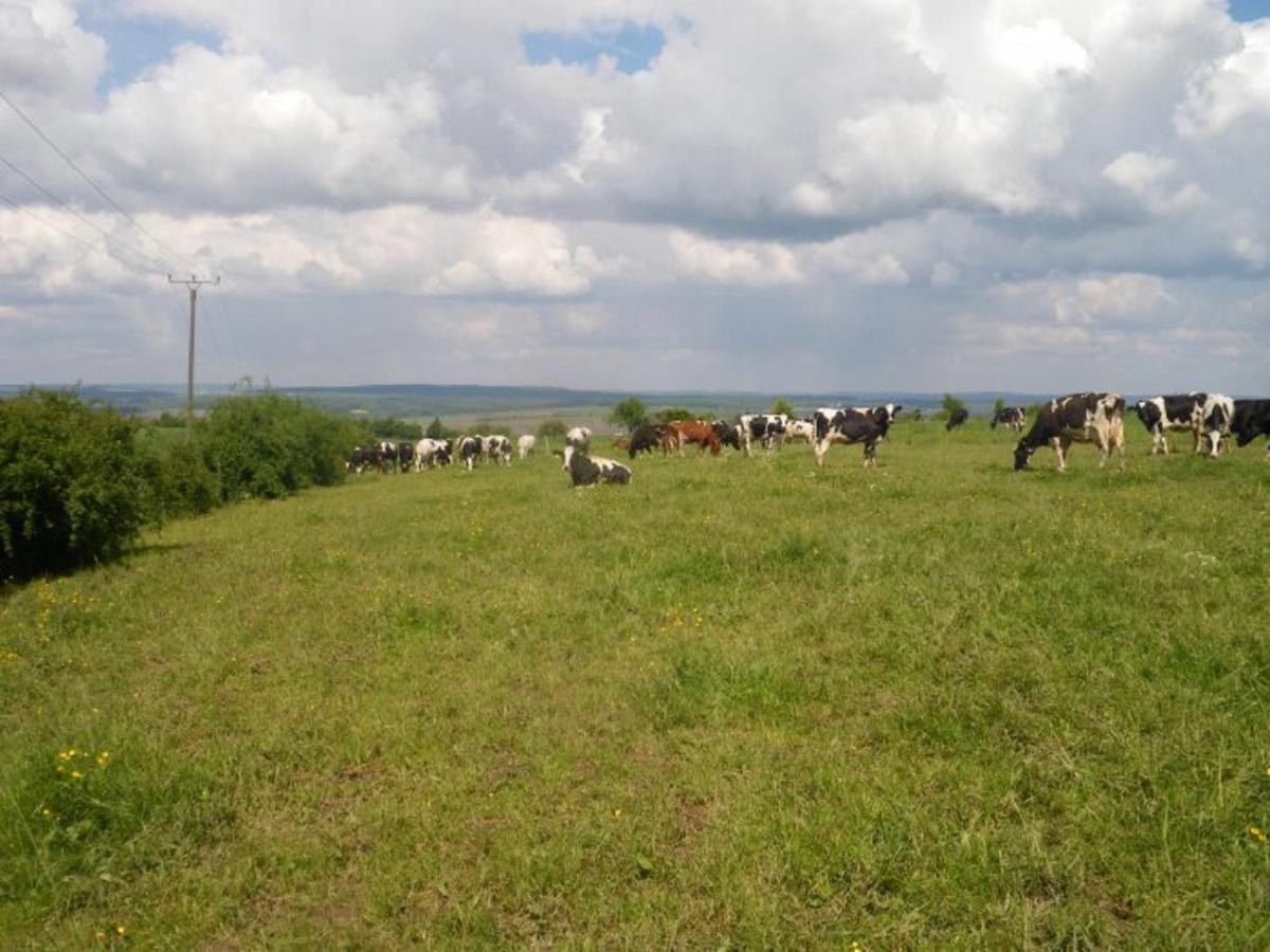 Ferienhof Lahr Wincheringen Exterior foto